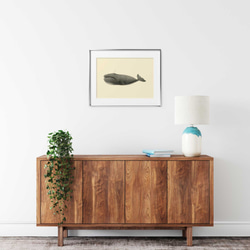 ヴィンテージなセミクジラ、海洋学者のイラスト 4枚目の画像