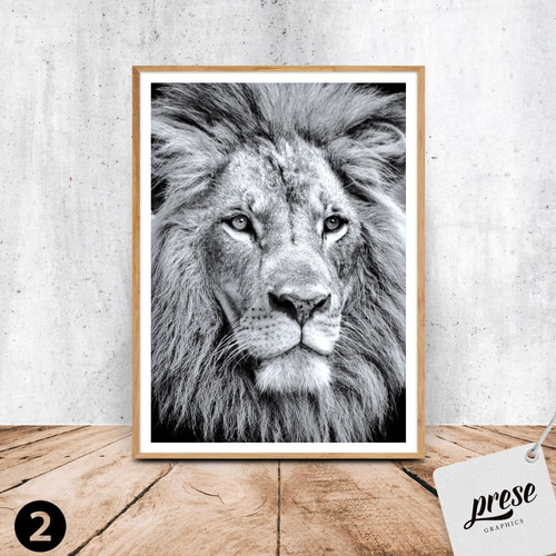 ゴールドライオン、シルバーライオンのインテリアポスター 写真