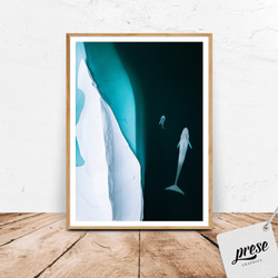 氷山とシロナガスクジラとボート 1枚目の画像