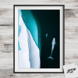 氷山とシロナガスクジラとボート 2枚目の画像