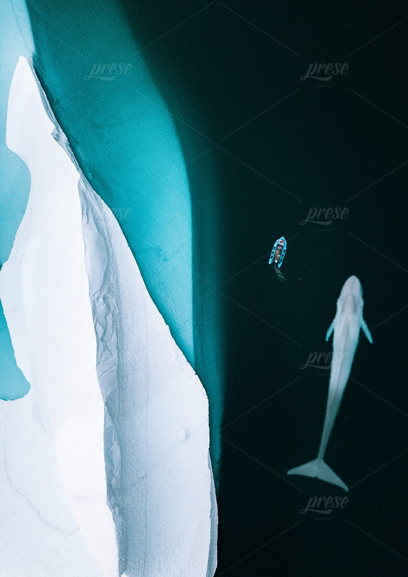 氷山とシロナガスクジラとボート 5枚目の画像