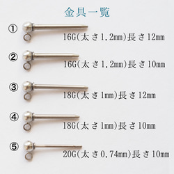  第3張的照片