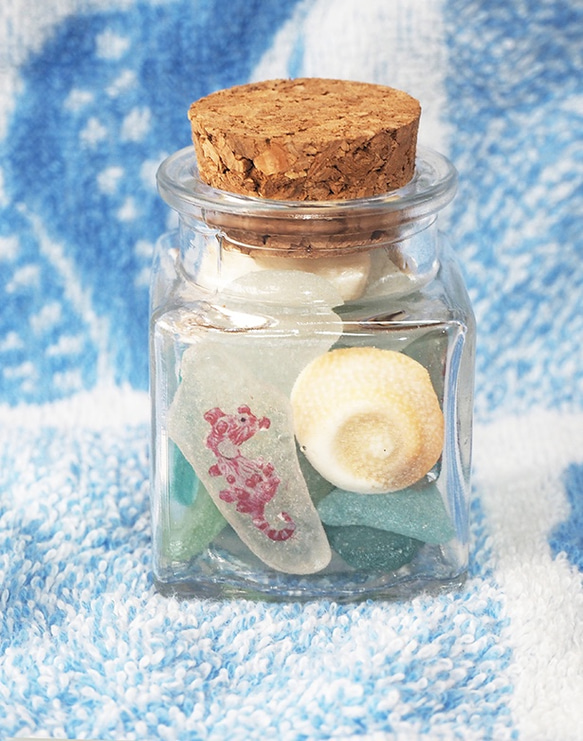 海の風 ピグミーシーホース SG-PS-01 シーグラス タツノオトシゴ、海の