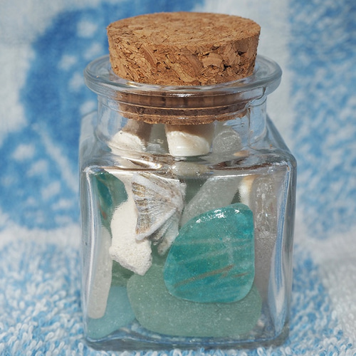 海の風 ピグミーシーホース SG-PS-01 シーグラス タツノオトシゴ