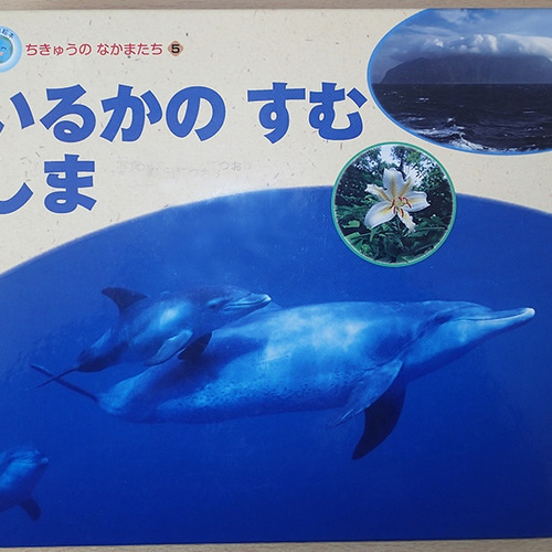 海原をいく PH-A4-05 写真 イルカ ドルフィン オーストラリア 写真