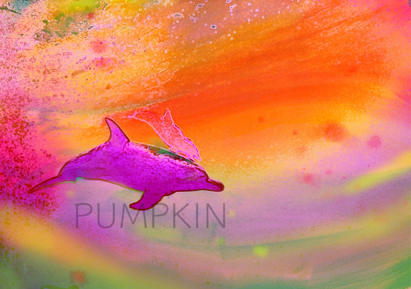 落陽 PR-A4-07 写真画 イルカ ドルフィン 水中 伊豆七島 イラスト