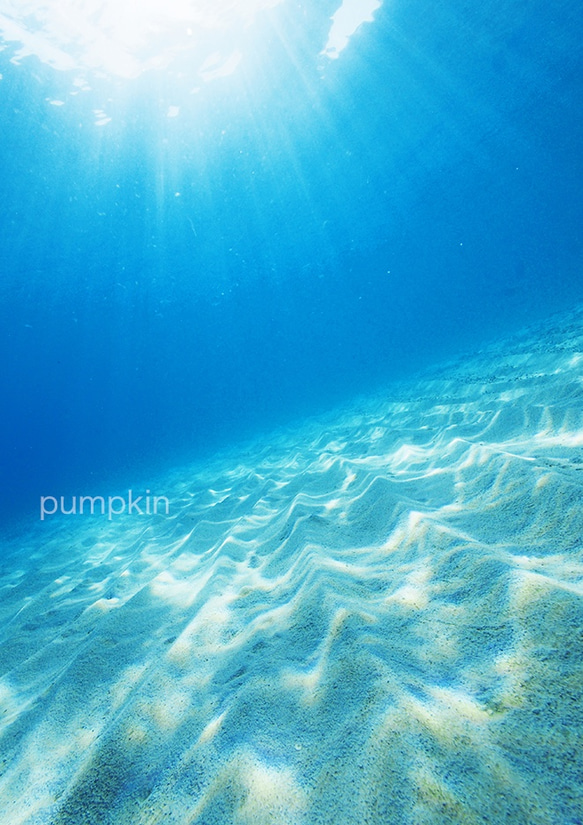 碧い海 渚-1 PH-A4-049 奄美大島 水中 碧い海 海 オーシャン 砂漠 浅瀬 渚