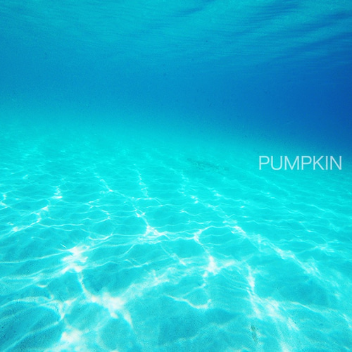 渚-2 PH-A4-078 奄美大島 水中 碧い海 海 オーシャン 砂漠 浅瀬