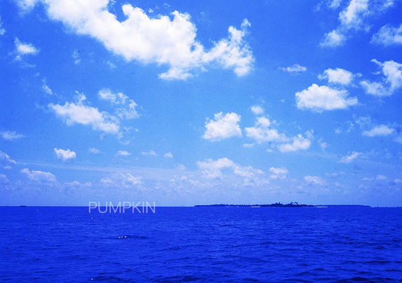 モルディブの白い雲と水平線-Ⅱ 　PH-A4-079     モルディブ　白い雲　碧い海　海　オーシャン　コバルトブルー 1枚目の画像