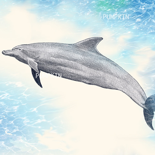ドリームドルフィン-1 D-A4-016 鉛筆画 素描 デッサン イラスト