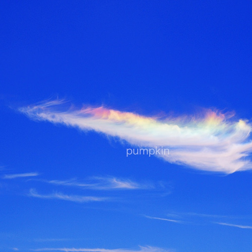 彩雲 PH-A4-0129 雲 鮮やか 七色 虹色 快晴 青空 写真・グラフィック