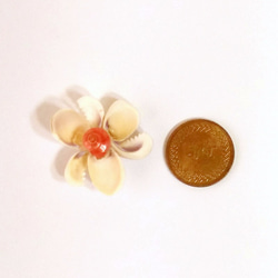 【HSOC海貝原創】手工‧材料包‧多葉貝殼花(3入) 第2張的照片