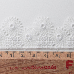 レース Embroidered tulle 30mm 1 .Blanc　 A011_4201_30_01 2枚目の画像