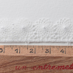 Embroidered tulle 16mm 1 .Blanc 　A011_4115_16_01 2枚目の画像