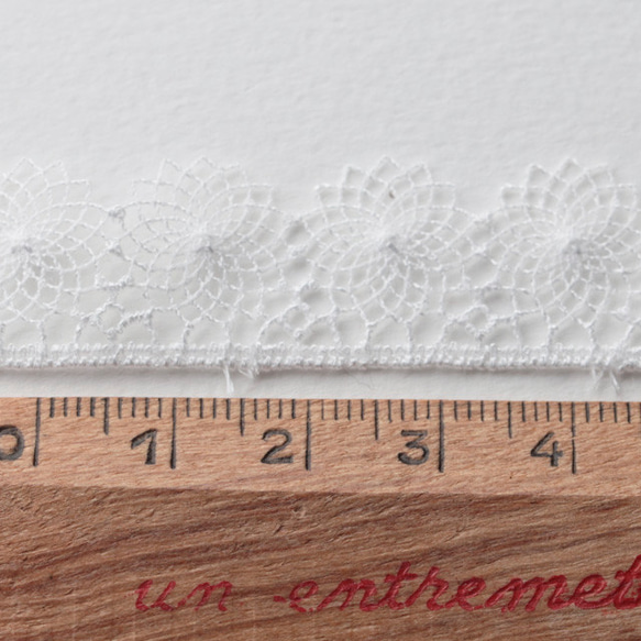 Embroidered tulle 16mm 1 .Blanc 　A011_4115_16_01 2枚目の画像
