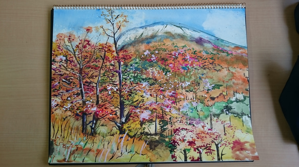 秋の山の紅葉 1枚目の画像