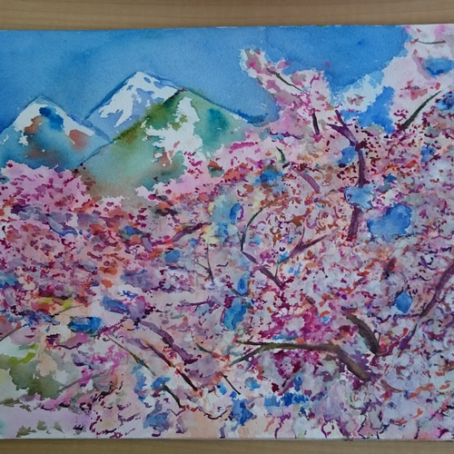桜満開 絵画 たかちゃん 通販 3308842｜Creema(クリーマ)