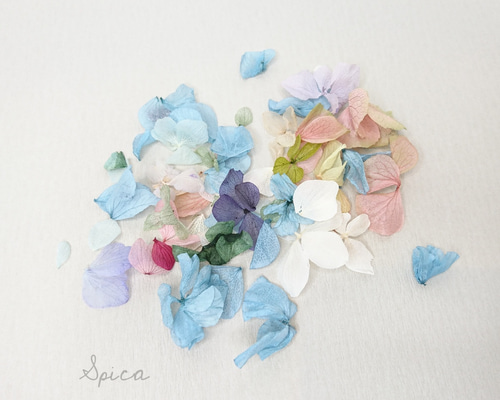 ブライダルフラワー♡♡ 1_4aaeb074eb2a20c2d7311cf32acc