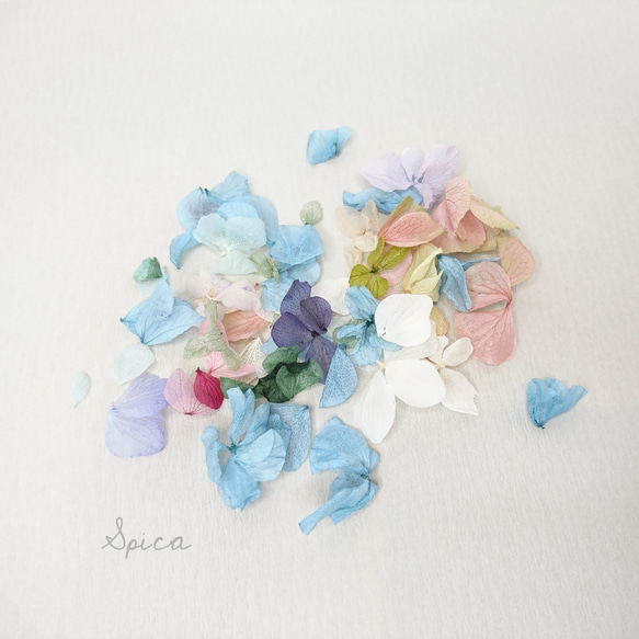 紫陽花ペタル フラワーシャワー ウェディング 花びら ロスフラワー 訳