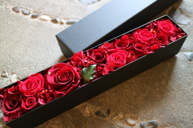 プレゼルヴェルージュ　Rectangle