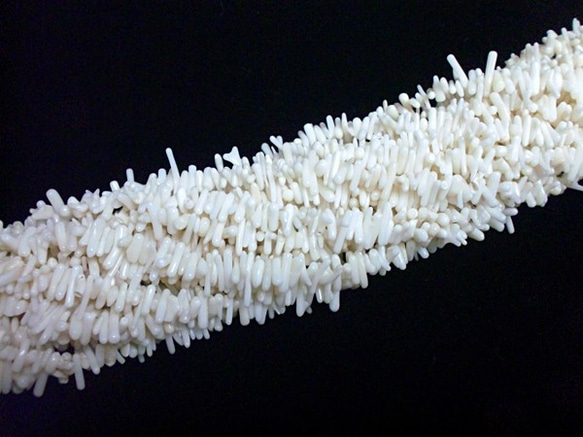 【素材】白い珊瑚 3枚目の画像