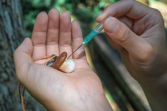 擴香項鍊 秋季木製小橡果 第6張的照片