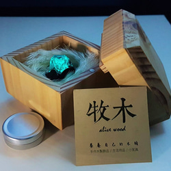 【手工訂製】柚木深藍極光木戒 Deep Blue aurora with teakwood ring 第5張的照片