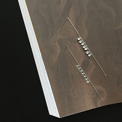 水滴のcolorido 925純銀製の長いセクションでは、Shiershanラインスターリングシルバー長いジルコンのイヤリングを 1枚目の画像