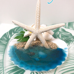 再販☆Starfish accessory stand 1枚目の画像