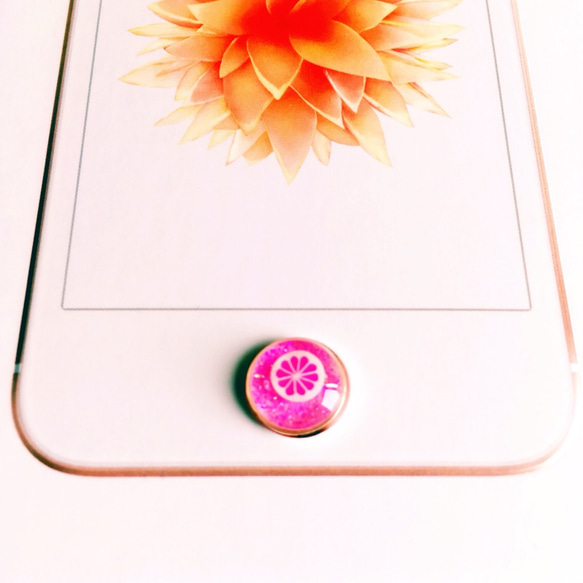 《送料無料》iPhoneホームボタン フルーツゼリー 3枚目の画像