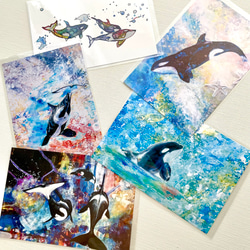 ポストカード】シャチの5枚セット イラスト Mai.Yamashita 通販