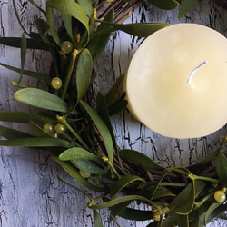 クリスマス宿り木リース ヤドリギのクリスマスリース③ | iichi 日々の暮らしを心地よく