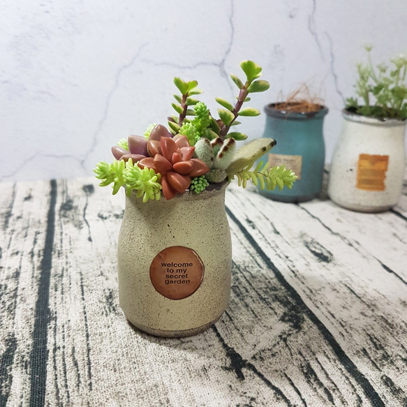 鄉村仿舊風 多肉 牛奶瓶 Rustic & vintage milk bottles ( with Succulents 第1張的照片