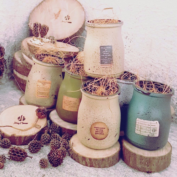 鄉村仿舊風 多肉 牛奶瓶 Rustic & vintage milk bottles ( with Succulents 第10張的照片