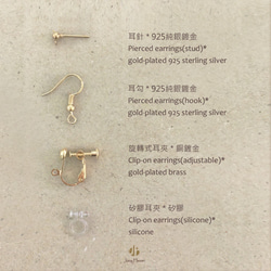 Autumn praise・Dried flowers pierced / clip-on earrings 8枚目の画像