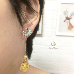 Angelic call・Dried flowers pierced / clip-on earrings 4枚目の画像