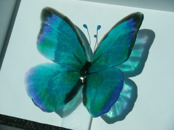 ちょっと大きめ　モルフォ蝶のブローチ　フレーム付きボックス 4枚目の画像