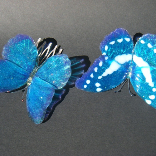 髪飾り レジンのモルフォ蝶 ウォールディスプレイ その他ヘア