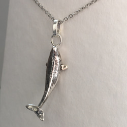 銀項鍊“海豚” 第4張的照片