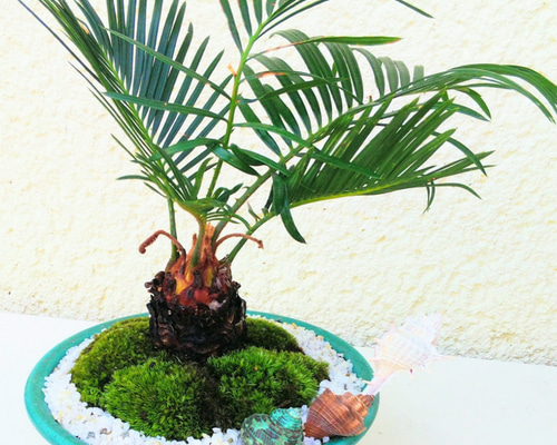 1_69dd4a2f96fbc06b52eca66ba69b