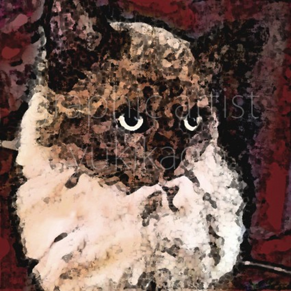 「シュシュ・ChouChou」猫の肖像画 1枚目の画像