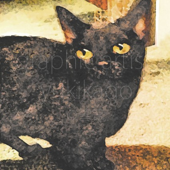 「ルイユ・Rouille」猫の肖像画 1枚目の画像