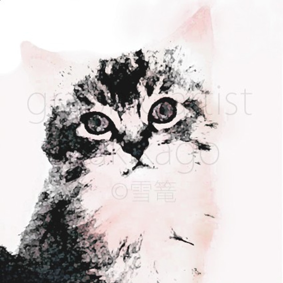 「ペタル・Petal」猫の肖像画 1枚目の画像