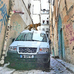 「冒険家・Le Aventurier」猫の居る風景 Paris 1枚目の画像