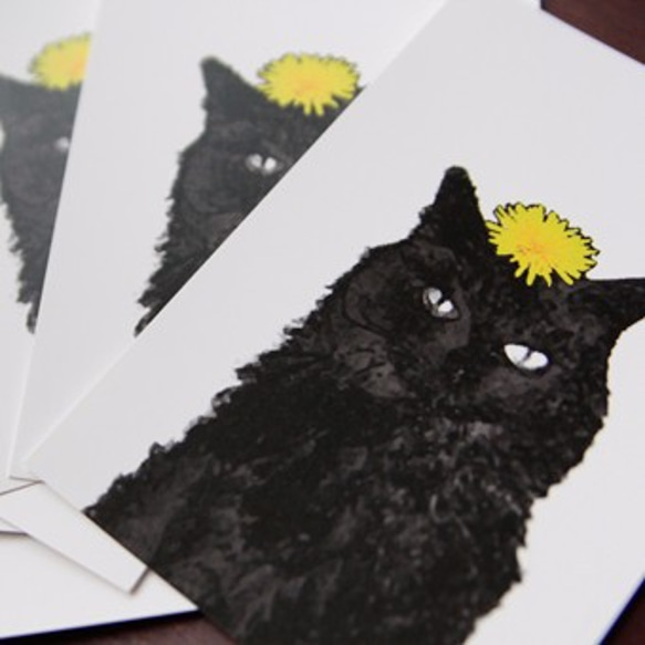 「バロン・Baron」猫のポストカード 10枚組 2枚目の画像
