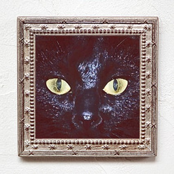 「クロ・Kuro」猫の肖像画 2枚目の画像