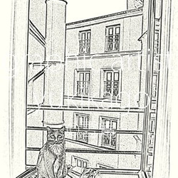 「旅猫・Le voyage du chat」猫のポストカード 3枚目の画像