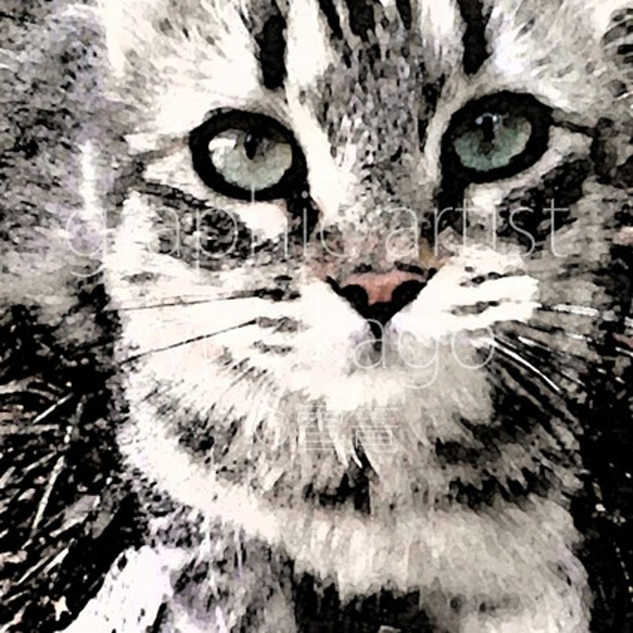「ノア・Noa」猫の肖像画 1枚目の画像
