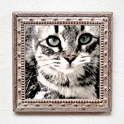 「ノア・Noa」猫の肖像画 2枚目の画像