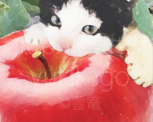 0_ca6f4aacecb2782c98c9b57fed19